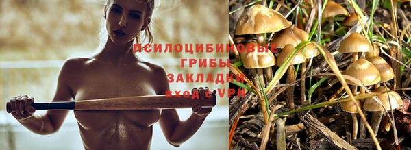 гашиш Абинск