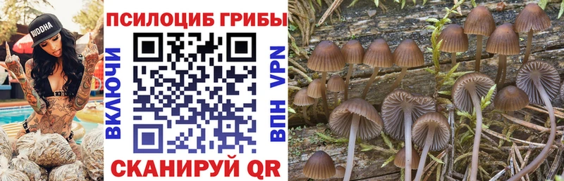 OMG вход  Разумное  Галлюциногенные грибы ЛСД 